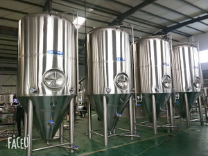 Fermenteur de 30bbl